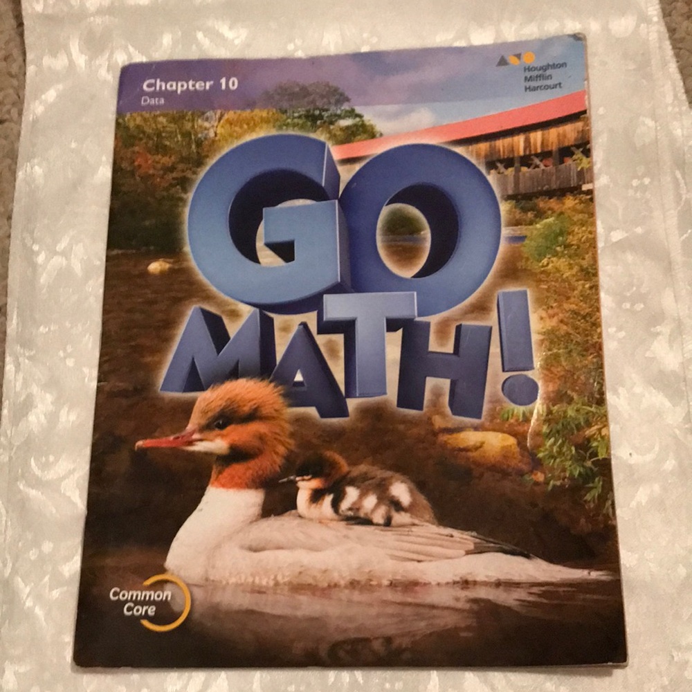 ☘️2 for $10 Sale☘️Go Math! Chapter 10 Data—Grade 2 Workbook